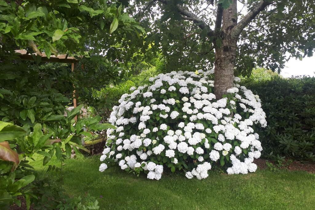 Saint-Segal Ty Kreiz 빌라 외부 사진
